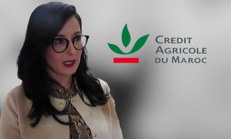 القرض الفلاحي.. “المرأة الحديدية” التي تغيّر المديرين ولا تتغيّر! القرض الفلاحي.. “المرأة الحديدية” التي تغيّر المديرين ولا تتغيّر!