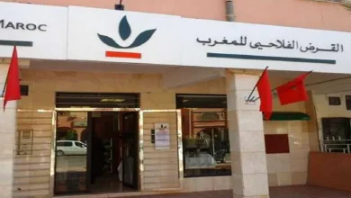 فضائح تهز القرض الفلاحي: محاباة واغتناء مشبوه يهددان ثقة الفلاح المغربي