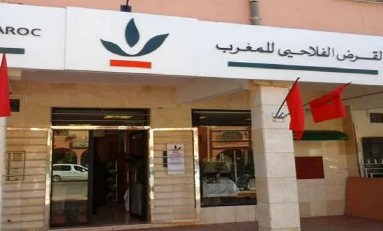 فضائح تهز القرض الفلاحي: محاباة واغتناء مشبوه يهددان ثقة الفلاح المغربي فضائح تهز القرض الفلاحي: محاباة واغتناء مشبوه يهددان ثقة الفلاح المغربي