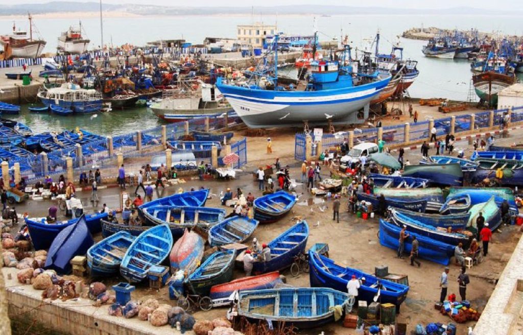 ميناء طانطان يسجل ارتفاعاً بـ81% في كميات الصيد