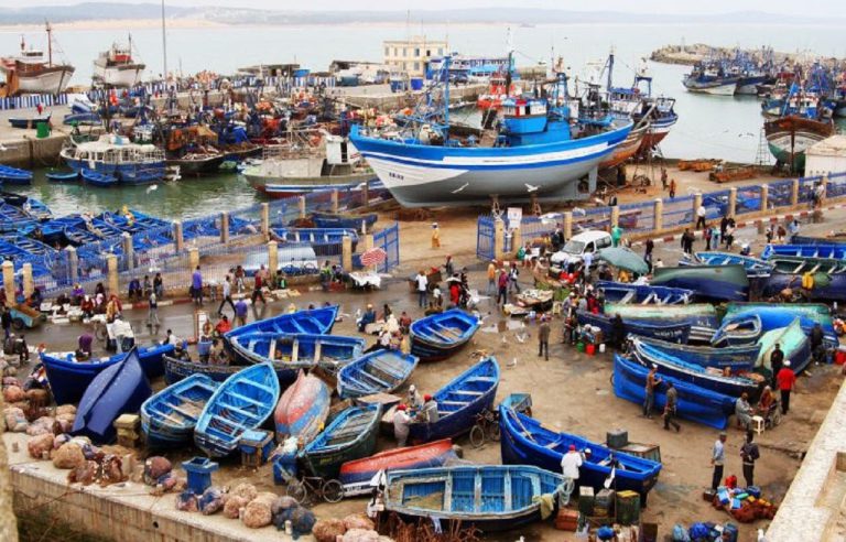 ميناء طانطان يسجل ارتفاعاً بـ81% في كميات الصيد
