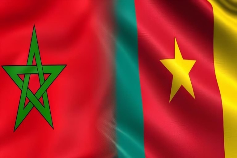الحكومة تطلع على اتفاق للتعاون العسكري بين المغرب والكاميرون